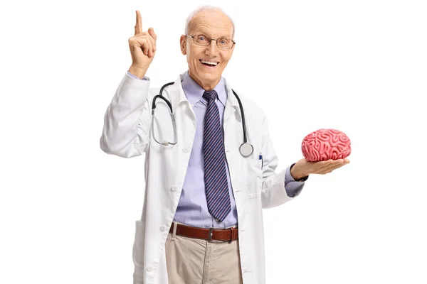 Doctor pointing up and holding a brain model — Stock Photo, Image