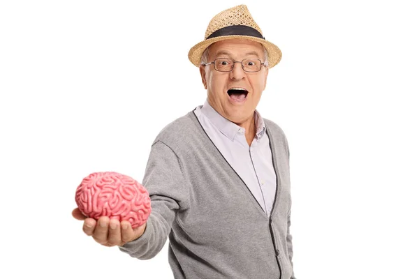 Ώριμος άνδρας που δείχνει ένα μοντέλο του εγκεφάλου — Φωτογραφία Αρχείου