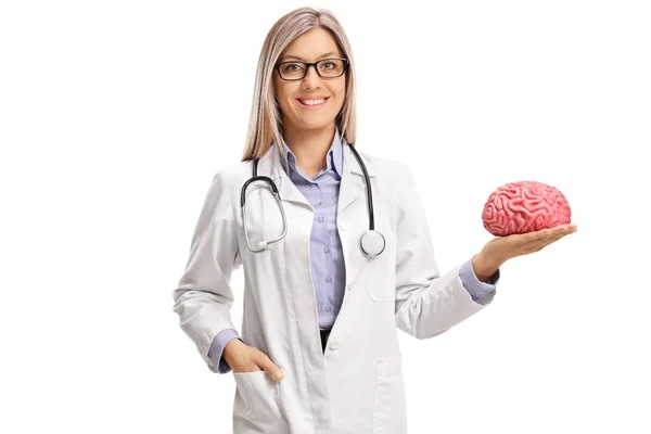 女医生抱着一种大脑模型 — 图库照片