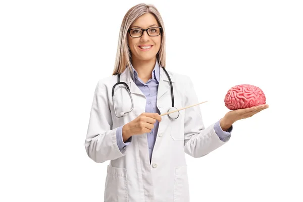 Female doctor pointing at a brain model with a stick — Stock Photo, Image