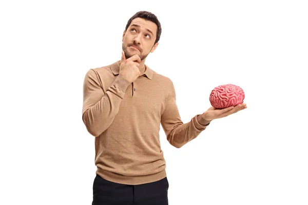 Вдумчивый человек с моделью мозга — стоковое фото
