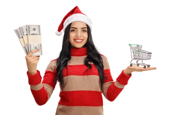 Γυναίκα με καπέλο Χριστουγέννων κρατώντας χρήματα δέσμες και καλάθι αγορών — Φωτογραφία Αρχείου