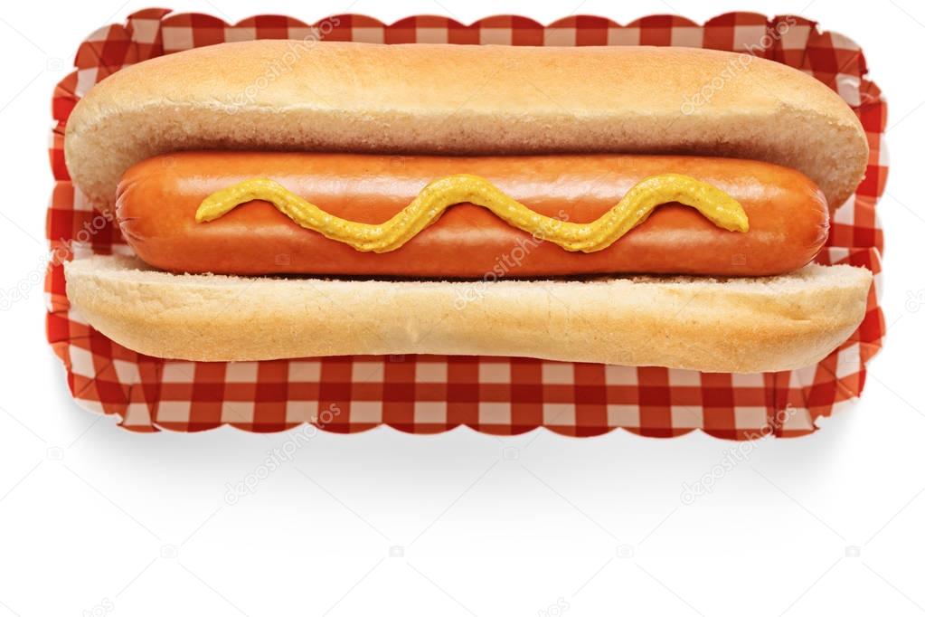 Hotdog with mustard isolated