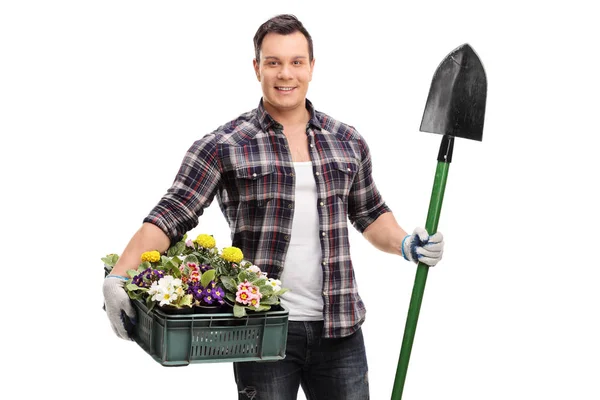 Gardener holding a shovel and a crate full of flowers — Stock Photo, Image