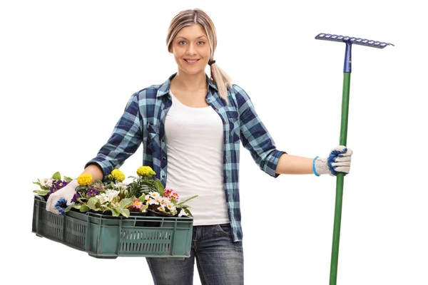 Mulher segurando um rack de flores e um ancinho — Fotografia de Stock