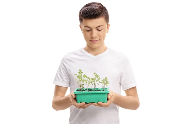 Teenage boy looking at a plant in a pot — Stock Photo, Image
