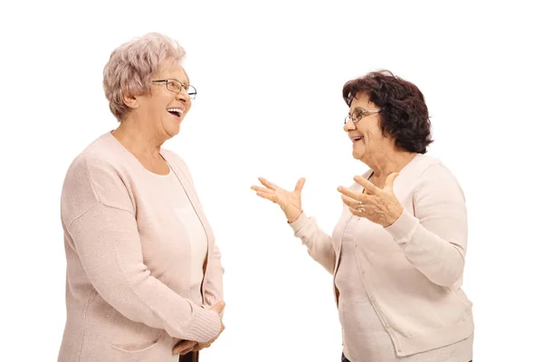 Две веселые пожилые женщины разговаривают — стоковое фото