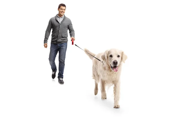 Молодой человек выгуливает собаку — стоковое фото