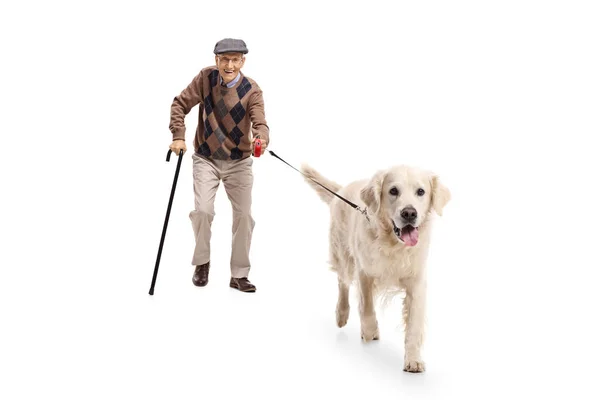 Oudere man lopen een hond — Stockfoto