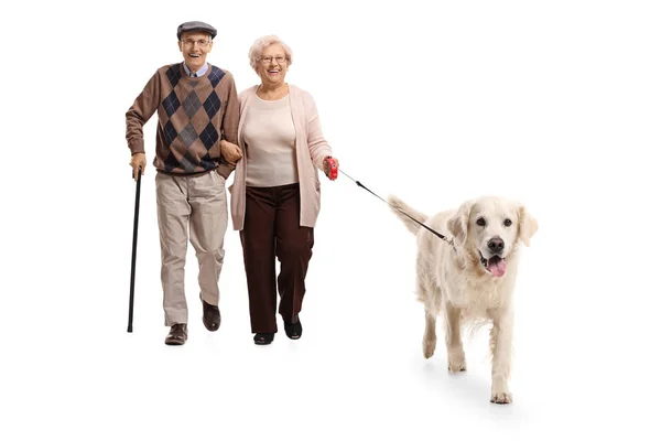 Старша пара гуляє з собакою — стокове фото