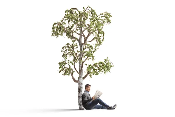 Man reading a newspaper under a birch tree — Stock Photo, Image