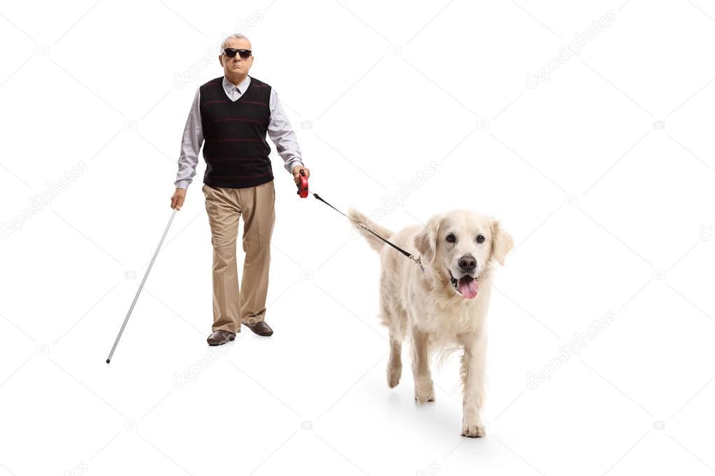 Blind man walking with a stick and a dog