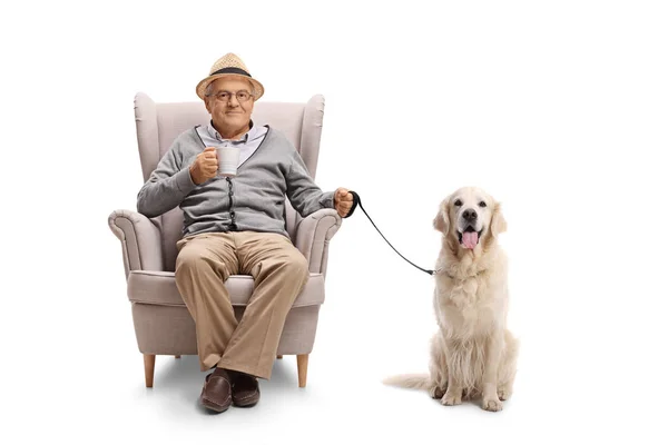 Mature Man Cup Labrador Retriever Dog Sitting Armchair Isolated White — Stock Photo, Image
