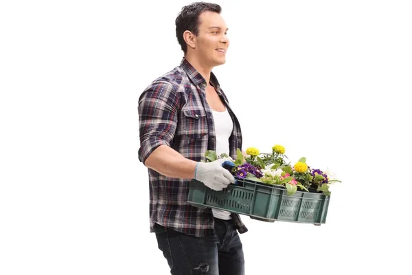 Trädgårdsmästare Holding Ett Rack Blommor Isolerad Vit Bakgrund — Stockfoto