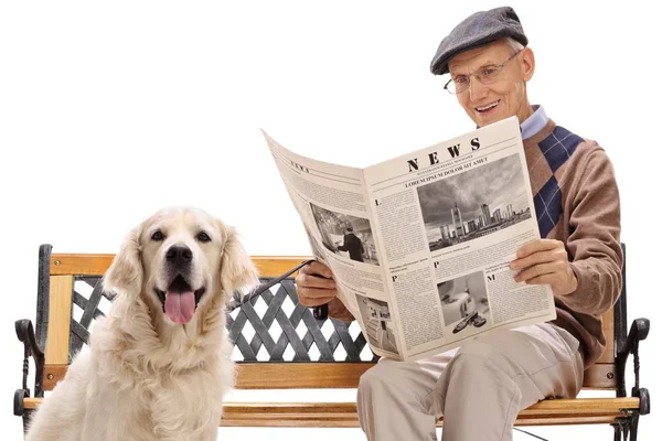 Sénior Com Cão Labrador Retriever Sentado Banco Lendo Jornal Isolado — Fotografia de Stock