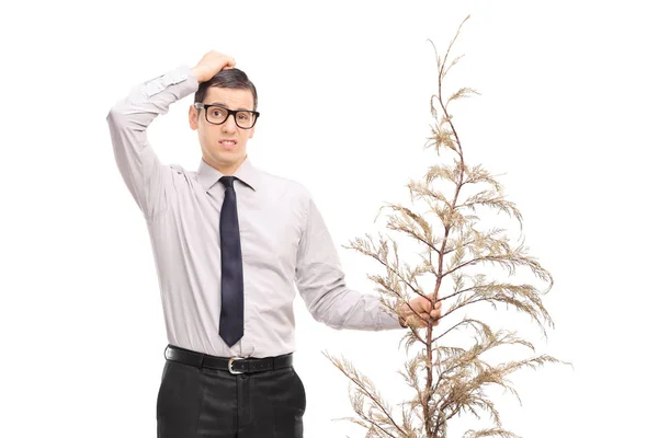 Confused Young Man Holding Dead Tree Isolated White Background — Stock Photo, Image