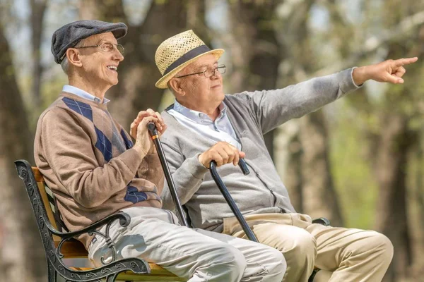 Elderly man showing something in the distance to another elderly man in the park