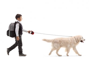 Beyaz arka plan üzerinde izole bir köpek yürüyen bir okul çocuğu tam uzunlukta profil resmini