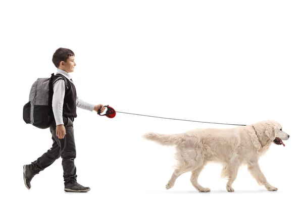 Profilbild Voller Länge Von Einem Schuljungen Der Einen Hund Isoliert — Stockfoto
