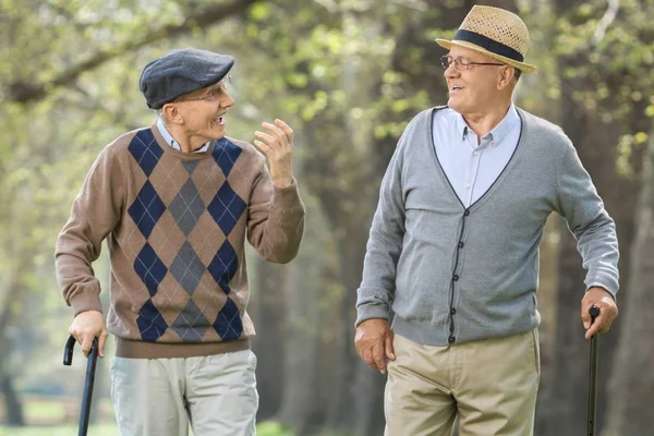 Two Elderly Men Having Conversation Outdoors — Stock Photo, Image