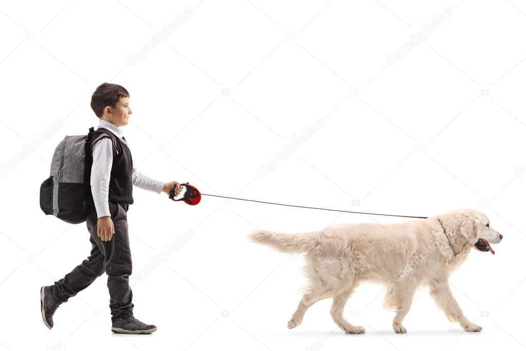 Full length profile shot of a schoolboy walking a dog isolated on white background