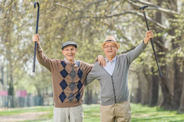 Dos Caballeros Ancianos Con Bastones Haciendo Gestos Felicidad Aire Libre — Foto de Stock