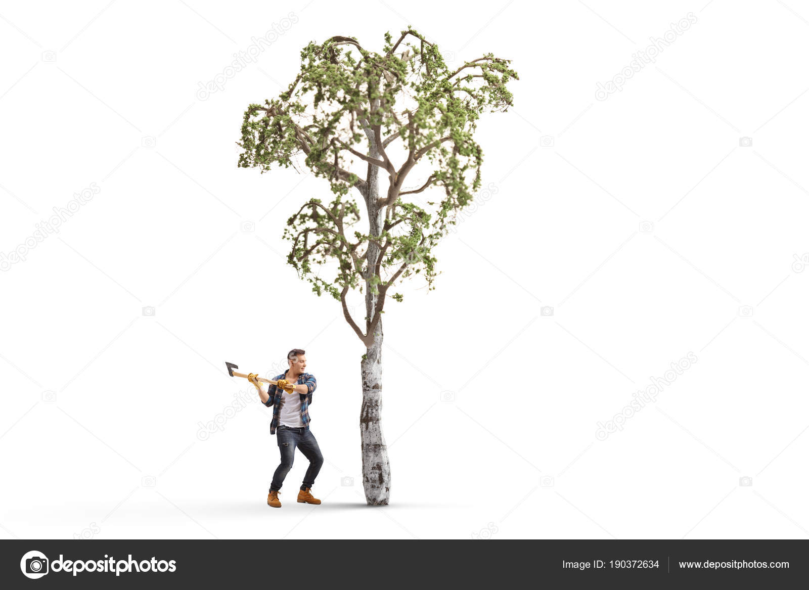 full length profile shot young man axe cutting tree isolated stock photo c ljsphotography 190372634 full length profile shot young man axe cutting tree isolated stock photo c ljsphotography 190372634