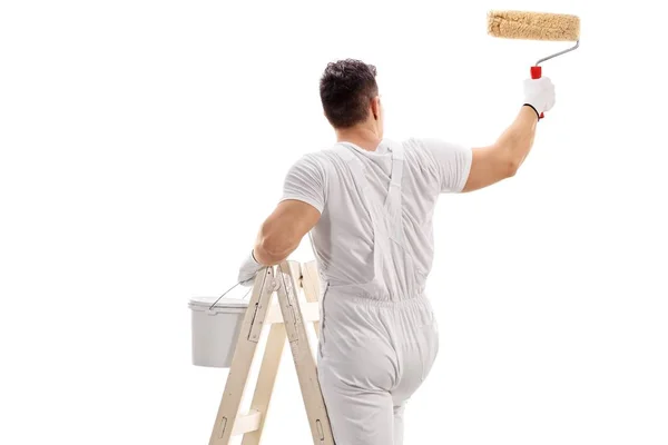 Rear View Shot Painter Climbed Ladder Painting Roller Isolated White — Stock Photo, Image