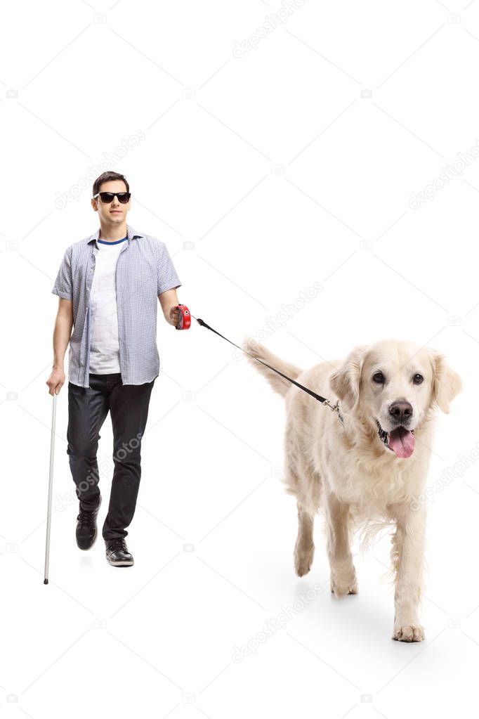 Full length portrait of a blind young man walking with the help of a dog isolated on white background