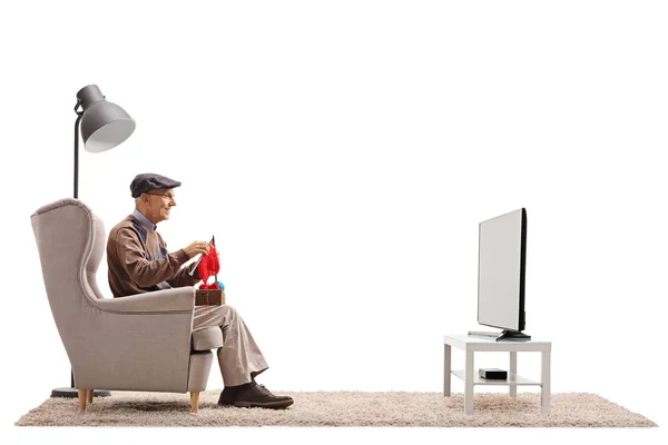 Elderly Man Seated Armchair Knitting Watching Television Isolated White Background — Stock Photo, Image