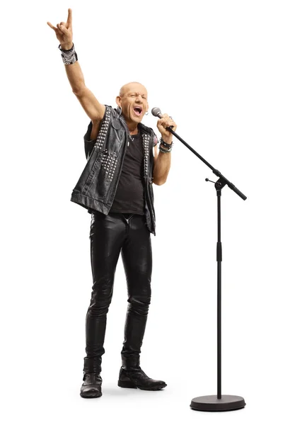 Mužská rocková hvězda zpívající na mikrofonu — Stock fotografie