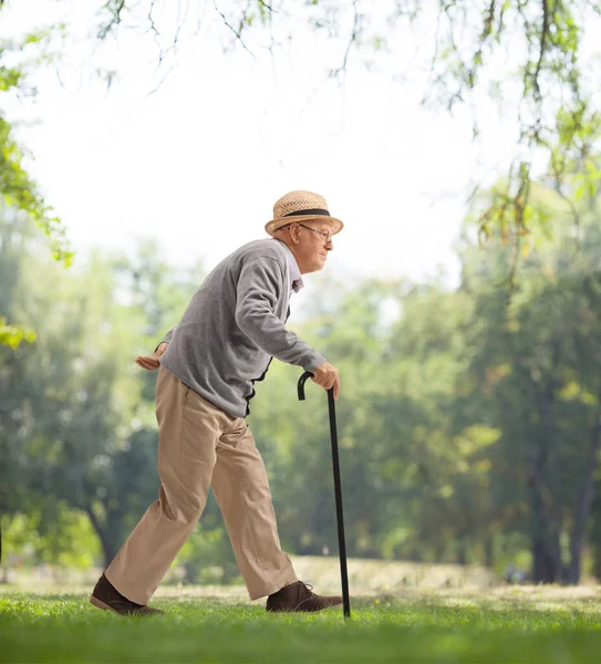 Hombre mayor caminando con un bastón en un parque — Foto de Stock