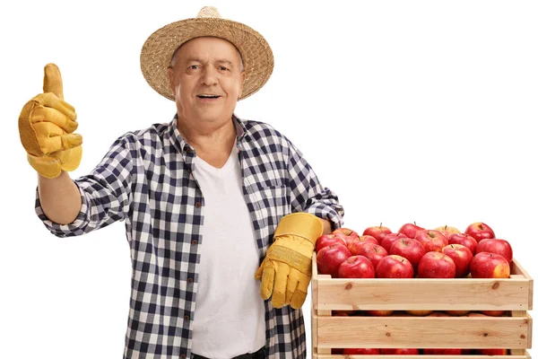 Elma kasası olan olgun bir çiftçi. — Stok fotoğraf