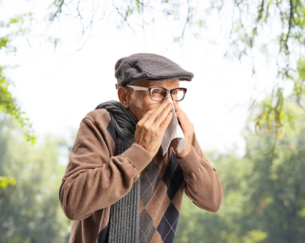 Homem sênior espirrando de hey febre ao ar livre — Fotografia de Stock