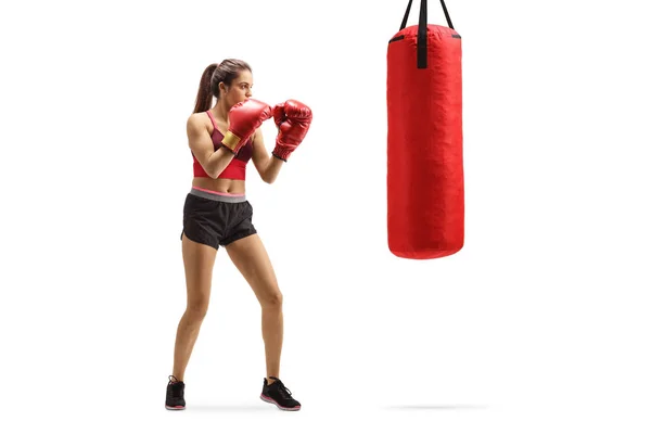 Giovane scatola di allenamento femminile con un sacco da boxe — Foto Stock