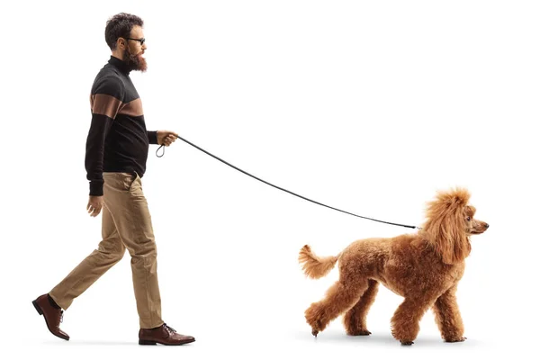 Ένας άντρας βγάζει βόλτα ένα κόκκινο σκυλάκι. — Φωτογραφία Αρχείου