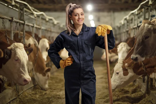 Trabajadora en una granja lechera de vaca — Foto de Stock