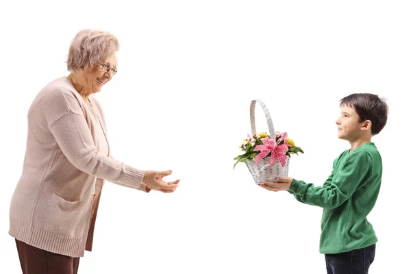 Boy Giving Flowers Grandmother Isolated White Background — Stock Photo, Image
