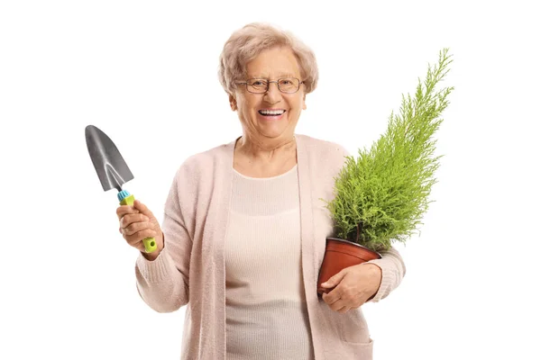 Starsza Kobieta Trzymająca Łopatę Roślinę Białym Tle — Zdjęcie stockowe