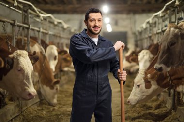Üniformalı bir erkek çiftçi inek sürüsüyle bir mandıra çiftliğinde 
