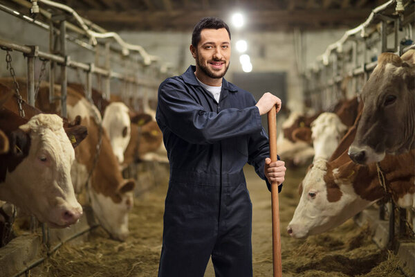 Мужчина-фермер в форме на молочной ферме со стадом коров
 