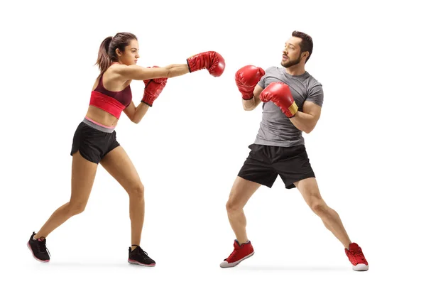 Giovane Uomo Donna Treno Boxe Isolato Sfondo Bianco — Foto Stock