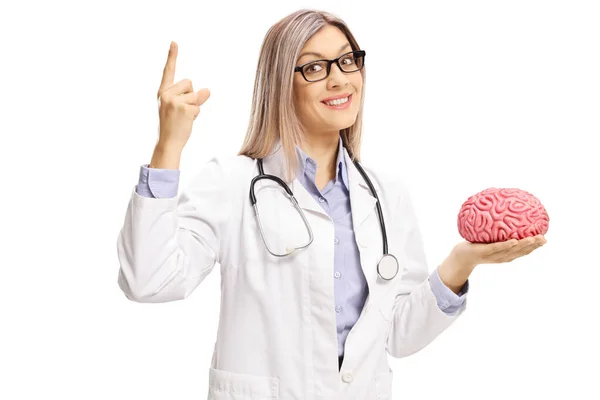 Médico Femenino Sosteniendo Modelo Cerebral Apuntando Hacia Arriba Aislado Sobre — Foto de Stock