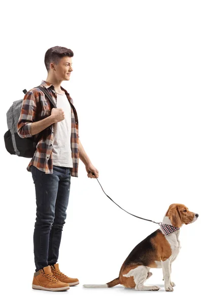 Foto Completa Estudiante Con Perro Beagle Sobre Una Correa Aislada — Foto de Stock