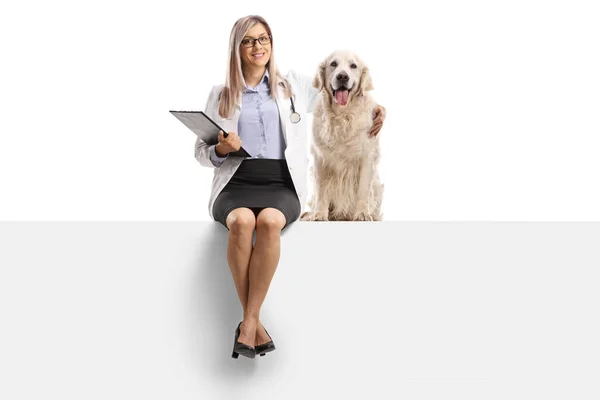 一位女兽医的全长画像 她抱着一只猎犬 坐在一块被白色背景隔开的空白板子上 — 图库照片