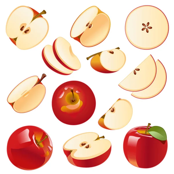 Vektorbild Isolierte Zeichnung Von Äpfeln Auf Weißem Hintergrund Rote Äpfel — Stockvektor