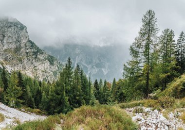 Sis ya da bulutlar dağların üzerinde. Köknar ağaçları ve taşlarla kaplı orman manzarası. Yazın veya sonbaharda. Rocky arazisi. Mangart Saddle, Slovenya ve Avrupa 'ya giden yoldaki dağ ve ağaçların manzarası.