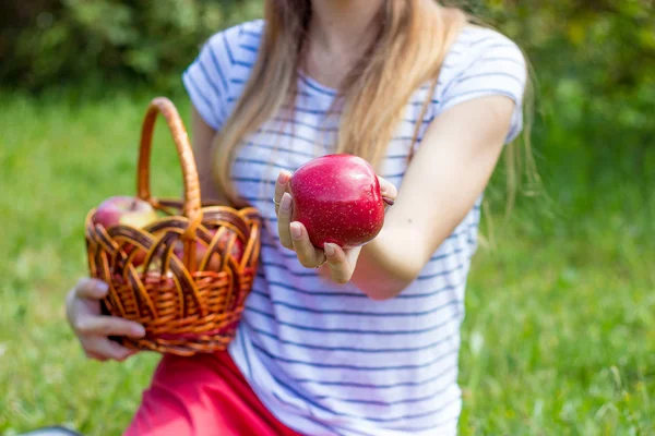 Jonge mooie vrouw ligt op het groene gras. Een meisje en een mandje van rode appels. Warm voorjaar. — Stockfoto