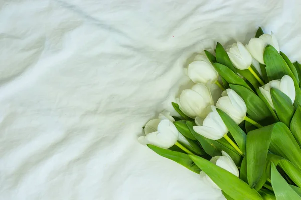 Ein Strauß weißer Tulpen auf weißem Hintergrund. ein Strauß Frühlingsblumen auf dem Beet. Urlaub. warmes Frühjahr. — Stockfoto