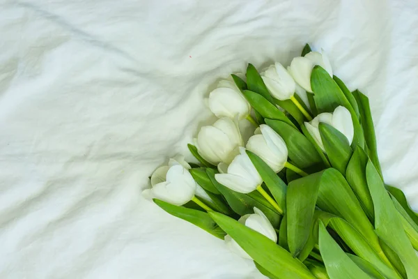 Ein Strauß weißer Tulpen auf weißem Hintergrund. ein Strauß Frühlingsblumen auf dem Beet. Urlaub. warmes Frühjahr. — Stockfoto